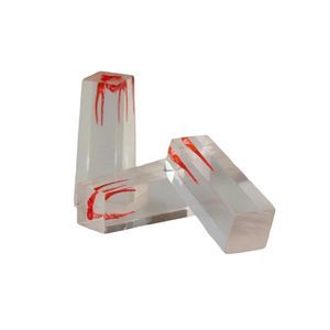 anatomisches Wurzelkanalmodell