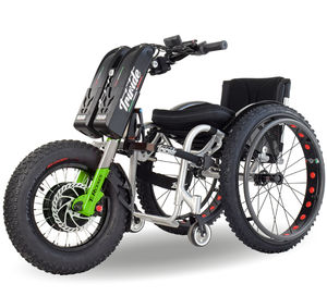 elektrischer Rollstuhlantrieb 1