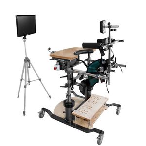 Gleichgewichtsrehabilitationssystem