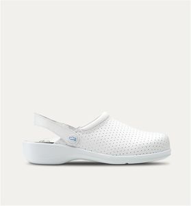 Unisex-Clog 1
