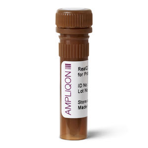 DNA-Polymerase-Reagenz