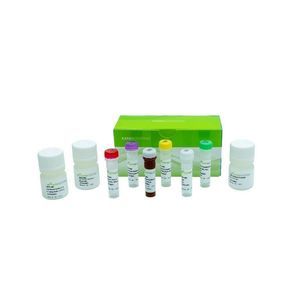 Reagenzkit für Proben 1