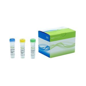 DNA-Polymerase-Reagenz 1