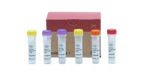 Reagenz / Ligase ADN 1