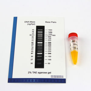 Enzyme-Reagenzkit / Farbstoff / Agarosegel / DNA-Skala