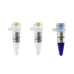 Enzyme-Reagenz 1