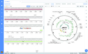 Molekularbiologie-Software