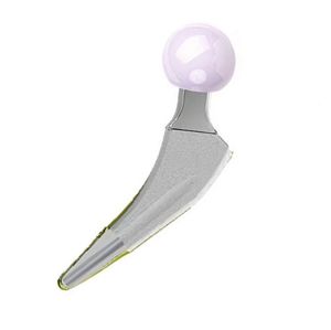 minimalinvasive Hüftschaftprothese