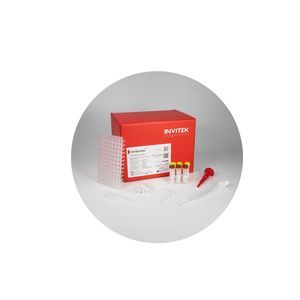 Harnwegsinformationen-Testkit
