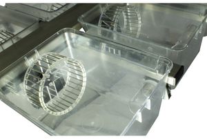 Aktigraph für die Tierforschung 1
