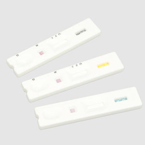 Testkit für Infektionskrankheiten