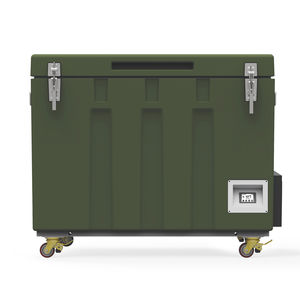Lagerungs-Kühlbox 1