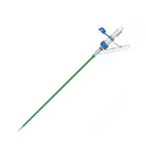 Ureterzugangsschaft 1