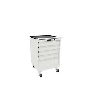 Schrank auf Rollen 1