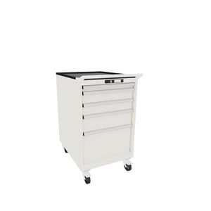 Schrank auf Rollen 1