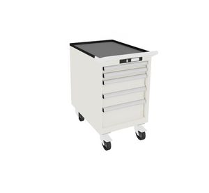 Schrank auf Rollen 1