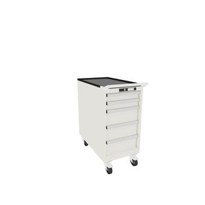 Schrank auf Rollen 1