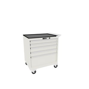 Schrank auf Rollen 1