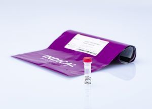 Reagenz für Veterinärlabor 1
