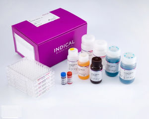 Testkit für Veterinärmedizin 1