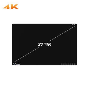 Monitor für Endoskopie