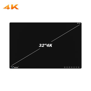 Monitor für Endoskopie