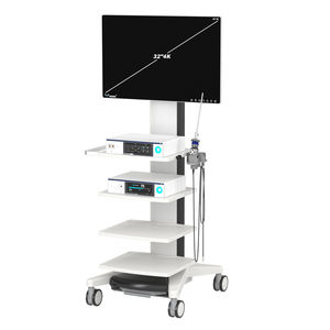 endoskopisches Abbildungssystem