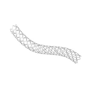 Koronararterien-Stent 1