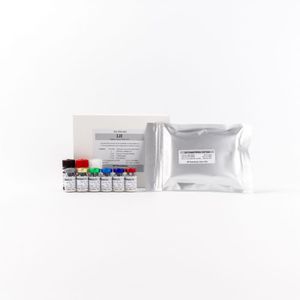 Reagenzkit / luteinusierendes Hormon