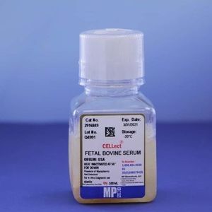 Reagenz / foetales Kalbfleischserum 1