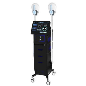 RF-Body-Contouring-Gerät 1