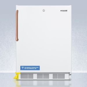 Laborkühlschrank 1