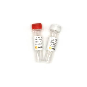 Reagenz / Ligase ADN