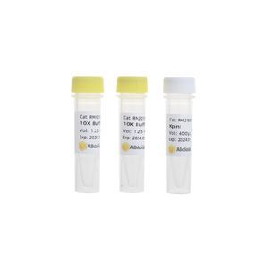 Enzyme-Reagenz