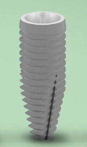 Implantat-Abutment / Konus zylindrisch 1