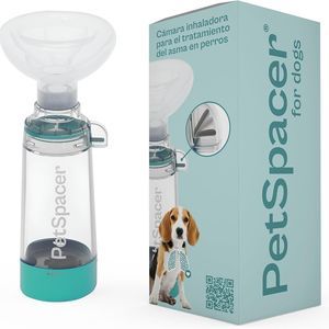 Inhalationskammer für Veterinärmedizin 1
