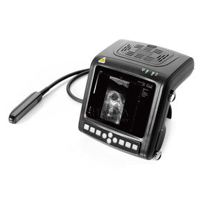 Tierärztliches Ultraschallsystem / Handgerät 1