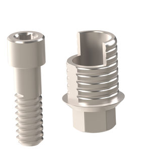 Implantat-Abutment / Titan 1