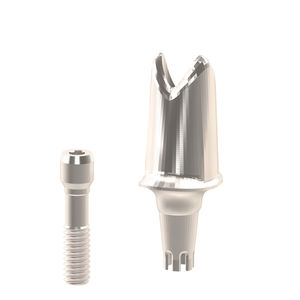 Implantat-Abutment / Titan 1