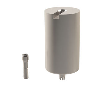 Implantat-Abutment / Titan 1