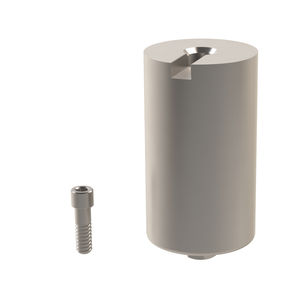Implantat-Abutment / Titan 1