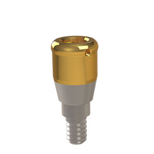 Implantat-Abutment / Titan