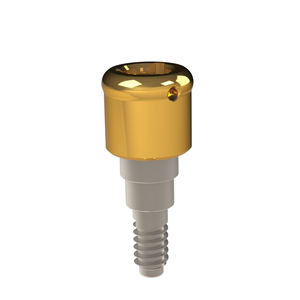 Implantat-Abutment / Titan 1