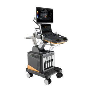 Elastographsystem mit Ultraschall / mit Rollgestell