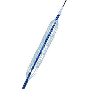 PTCA-Katheter