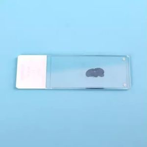 Objektträger für Mikroskop / Immunohistochimie