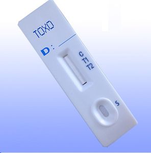 Schnelltest für Toxoplasmose