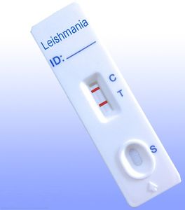 Leishmania-Schnelltest