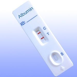 Urinprofil-Teststreifen