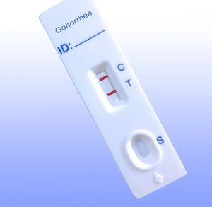 Schnelltest / Neisseria gonorrhea
